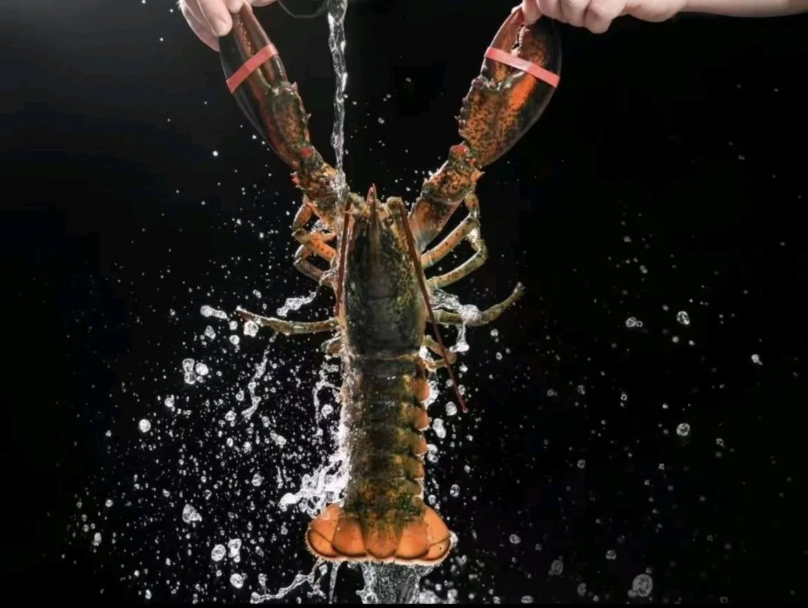 广州海鲜